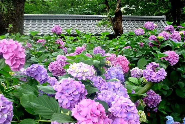 京都 京阪沿線を歩く大人旅