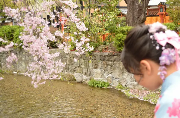 桜も素敵でした。