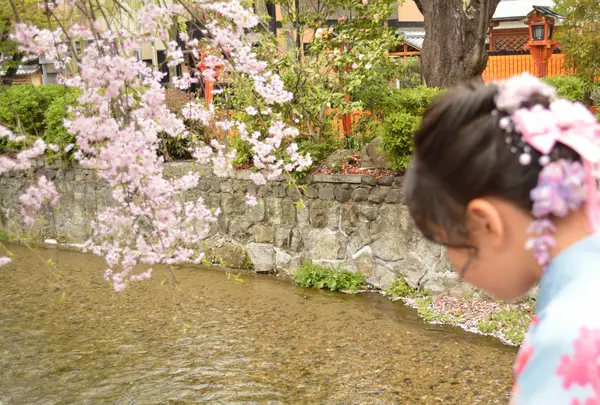 祇園白川の写真・動画_image_423316