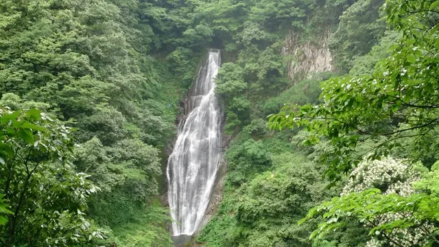 【初心者向き】船上山 鱒返しの滝＆船上神社・奥の院を目指して♪