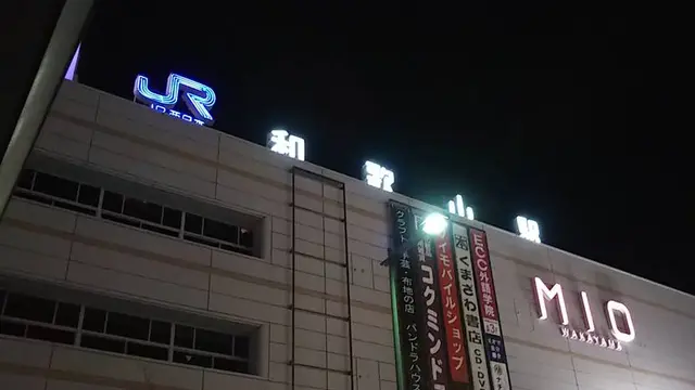和歌山ラーメンが食べたい!<JR和歌山編>