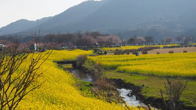 大自然満喫！新潟市西蒲区の公園めぐり