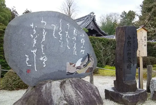 京都・山科の古刹で花と静寂に出会う