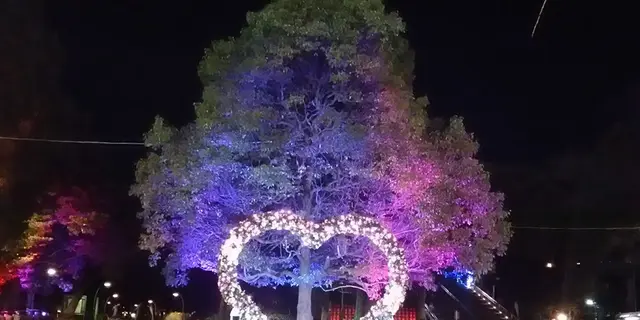 鳩ポッポのふるさと東京「上野・浅草」を歩く
