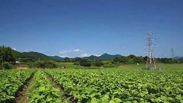 初夏の風に吹かれながら、高原で田舎暮らし体験