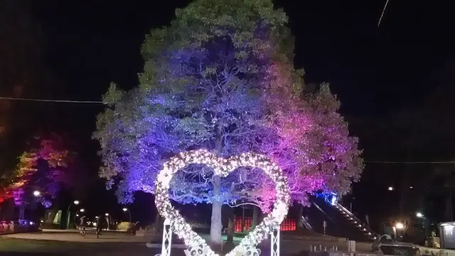 鳩ポッポのふるさと東京「上野・浅草」を歩く