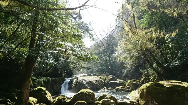フィットンチッドの森“菊池渓谷”＆日本の名湯百選菊池温泉で癒しとパワーを♪