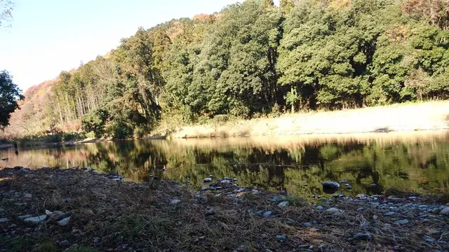 嵐山渓谷