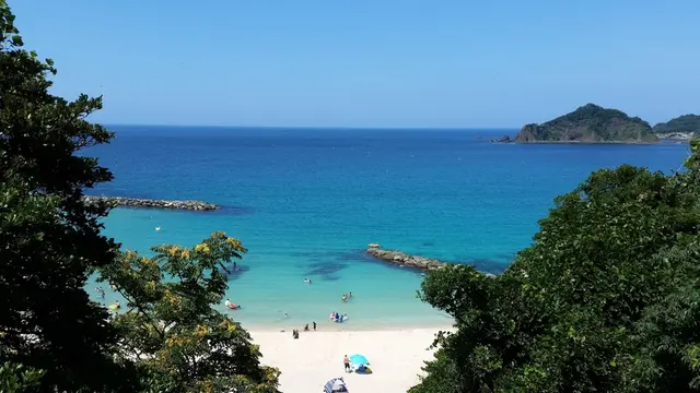 夏といえば…あざやかな青を楽しむ、美保関町