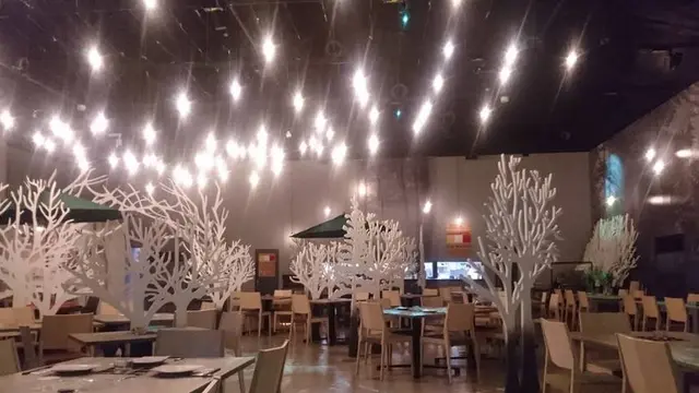 花咲かタイムズ【岐阜・多治見市】