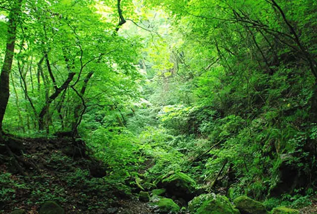 御岳渓谷リトリート
