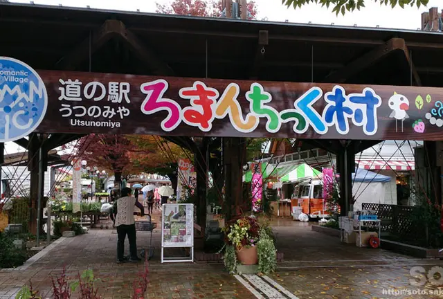 新しい出会いを求めて向き合い座席のバスでビールとワイン