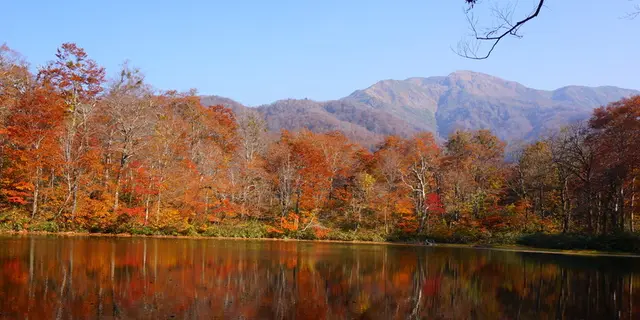 運動の秋、息をのむような絶景紅葉とご褒美デザートを