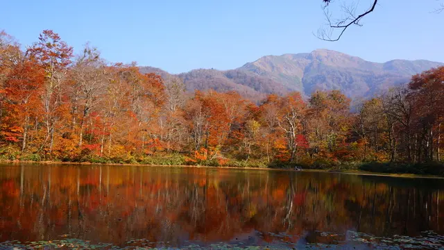 運動の秋、息をのむような絶景紅葉とご褒美デザートを