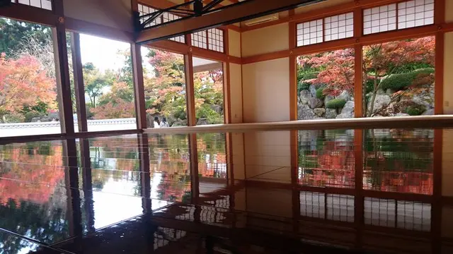 「宝徳寺の床もみじ」「ながめ公園の関東菊花大会」