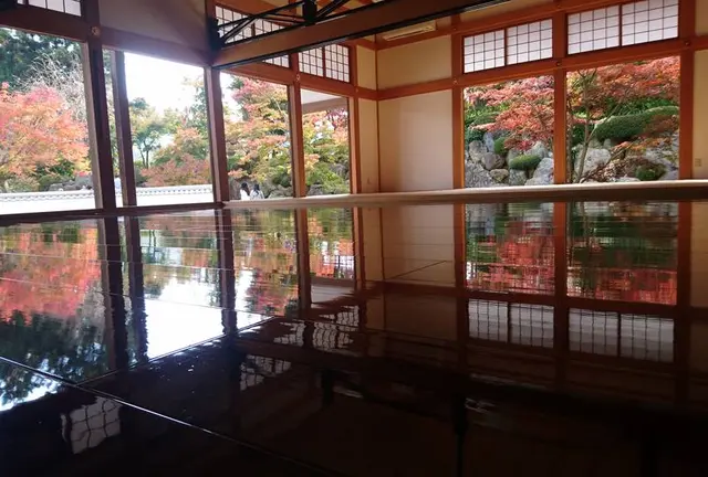 「宝徳寺の床もみじ」「ながめ公園の関東菊花大会」
