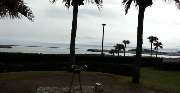 雨のち曇りになりました