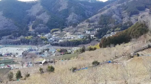 ゆる～り春を旅して