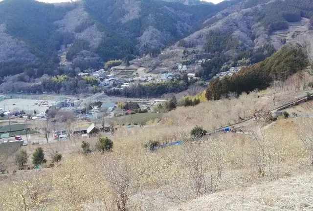 ゆる～り春を旅して