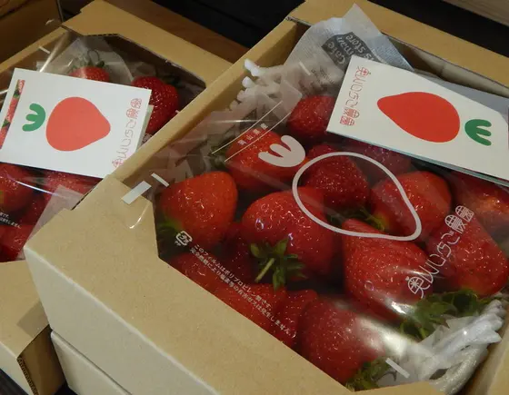 お土産にも🍓