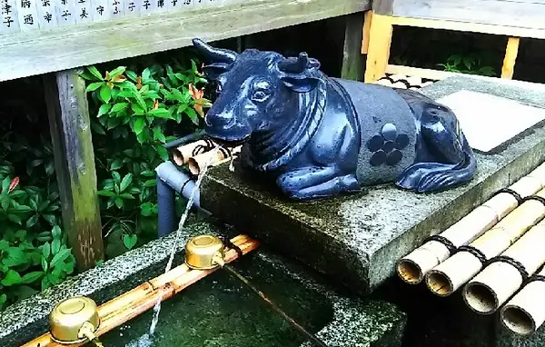 手水舎にはやはり牛さんが