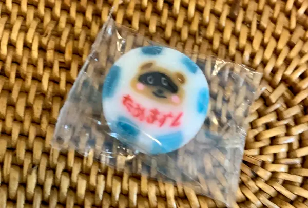 たぬきすしの写真・動画_image_357368