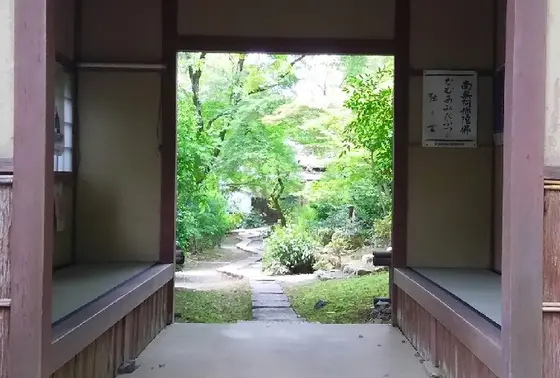 絵になる青葉の景観