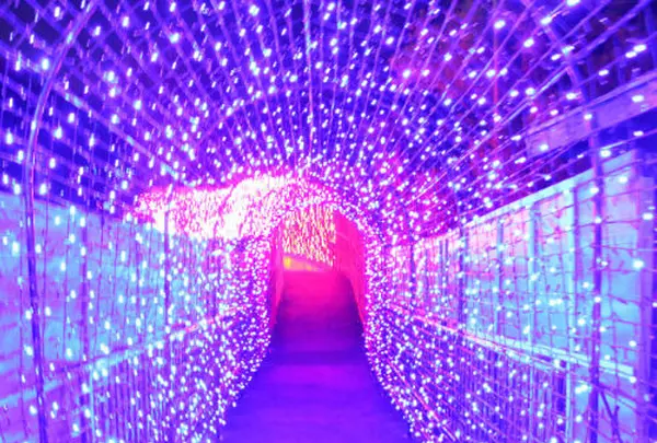 伊豆ぐらんぱる公園の写真・動画_image_102274