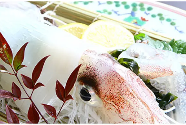 角島の写真・動画_image_90281