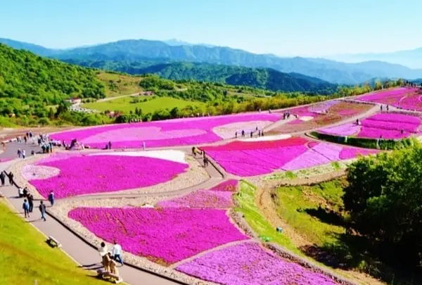 茶臼山高原