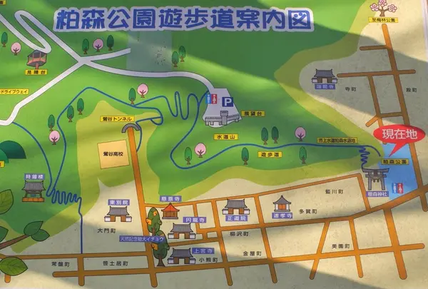 橿森公園の写真・動画_image_29117