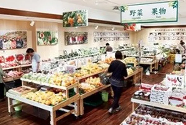 和歌山の特産品が並ぶ