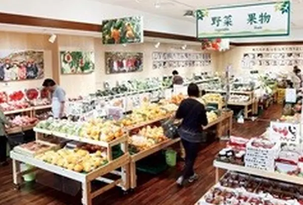 柿の郷くどやまの写真・動画_image_69217