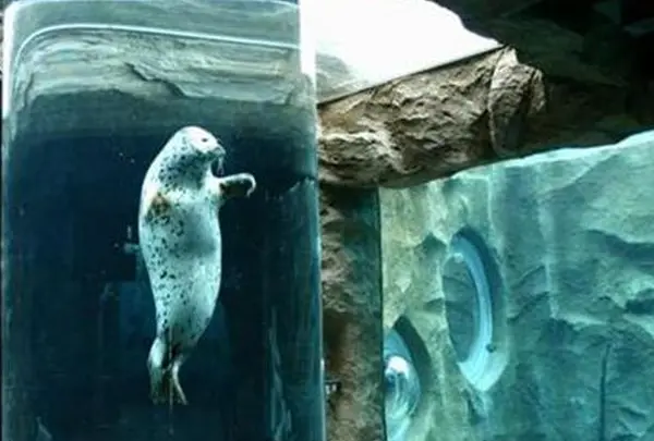 旭山動物園