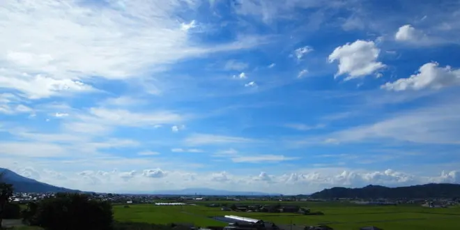筑紫平野と巨峰と豚と...♫