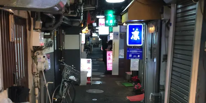 【東京】大井町でひとりではしご酒♪