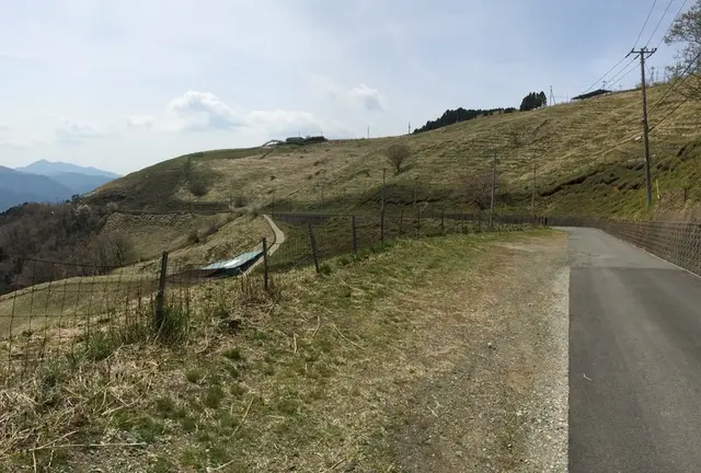 大野山ヒルクライムで絶景を楽しもう