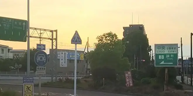 🏃‍♂️諏訪湖トレイルラン