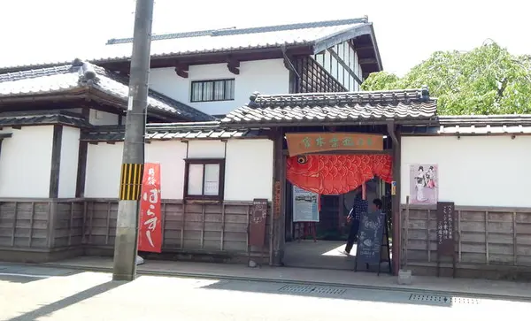 立派なこいのぼりがあちこちに