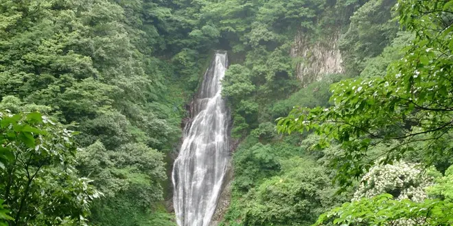 【初心者向き】船上山 鱒返しの滝＆船上神社・奥の院を目指して♪