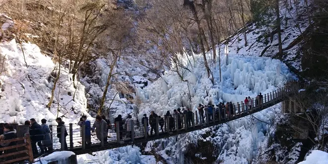 尾ノ内百景水柱