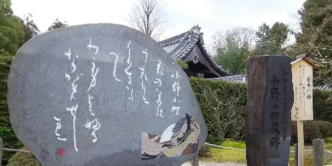 京都・山科の古刹で花と静寂に出会う