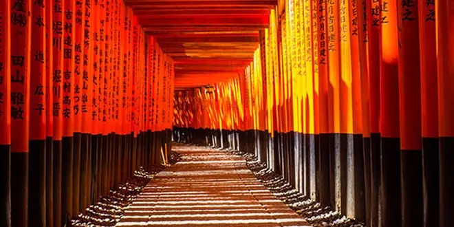 京都女子旅プラン