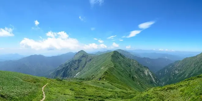 テスト