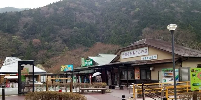 道の駅-静岡-1day