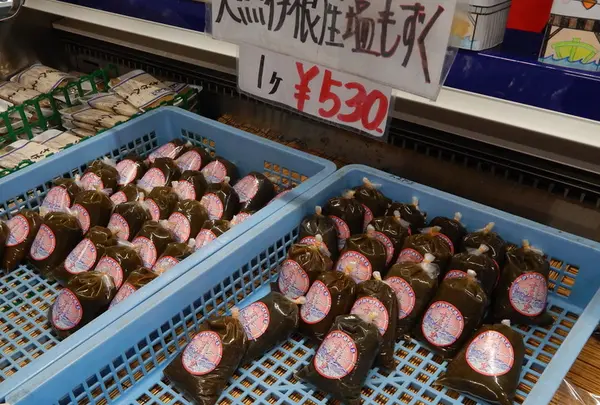 道の駅 舟屋の里伊根の写真・動画_image_159317
