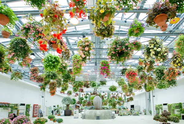 HANA・BIYORI（ハナビヨリ）