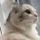 すも