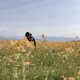 みや