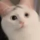 kiri_rin